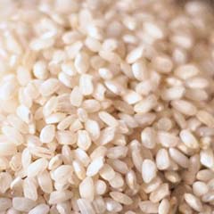 Extrait de riz coréen biologique