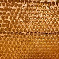 Peptide de gelée royale