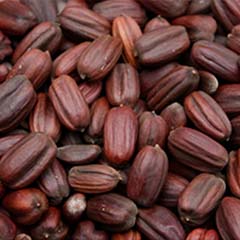 Perles de jojoba biodégradables